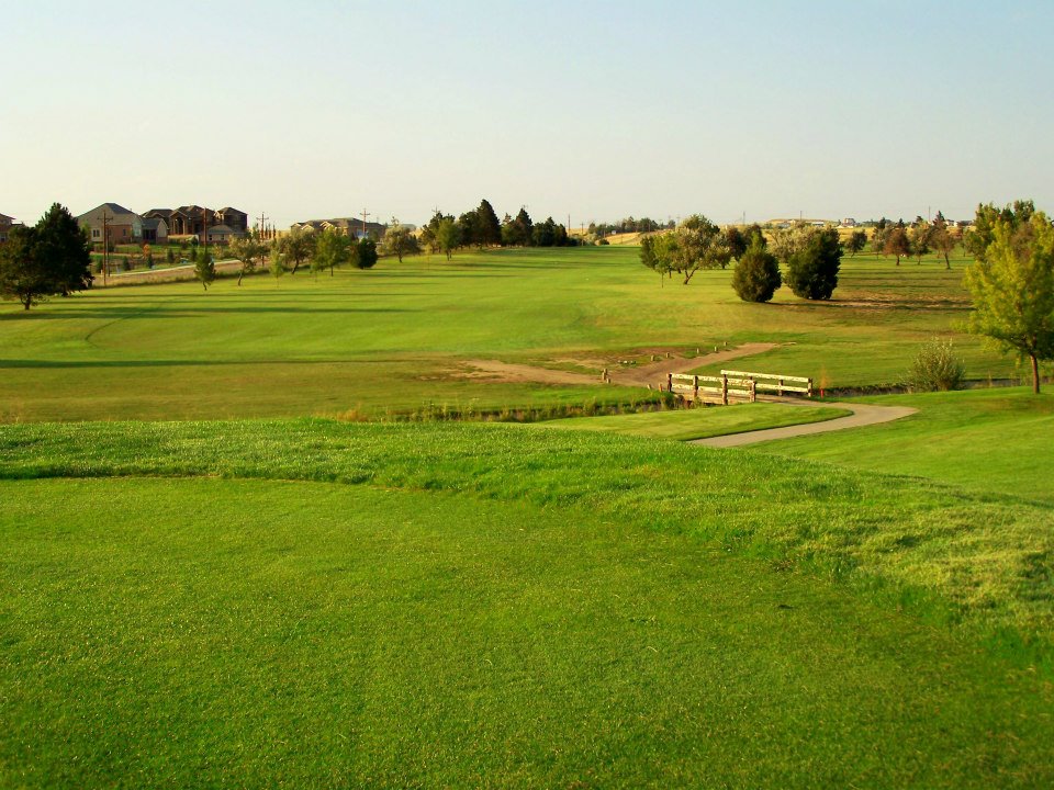 Golf course fairway